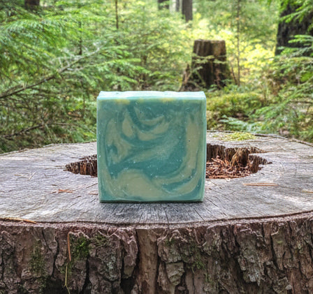 Adk Black Bear Soap.    Evergreen Forest